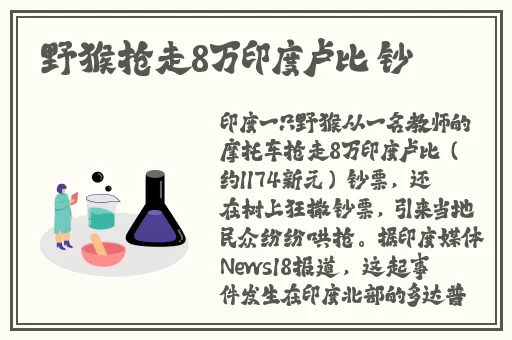 **神马高清完整版